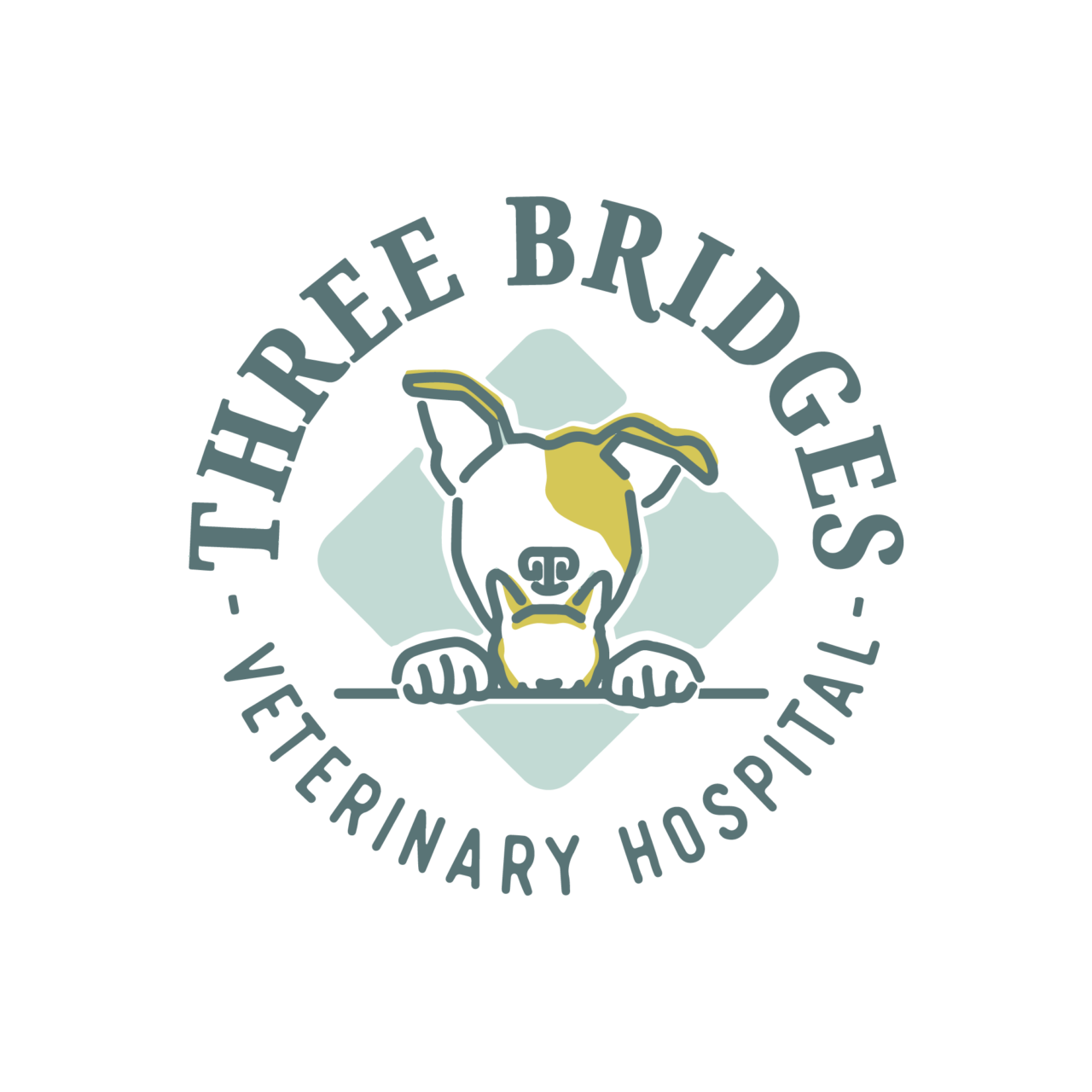 Best Vet Hospital In Basking Ridge, NJ Three Bridges Vet