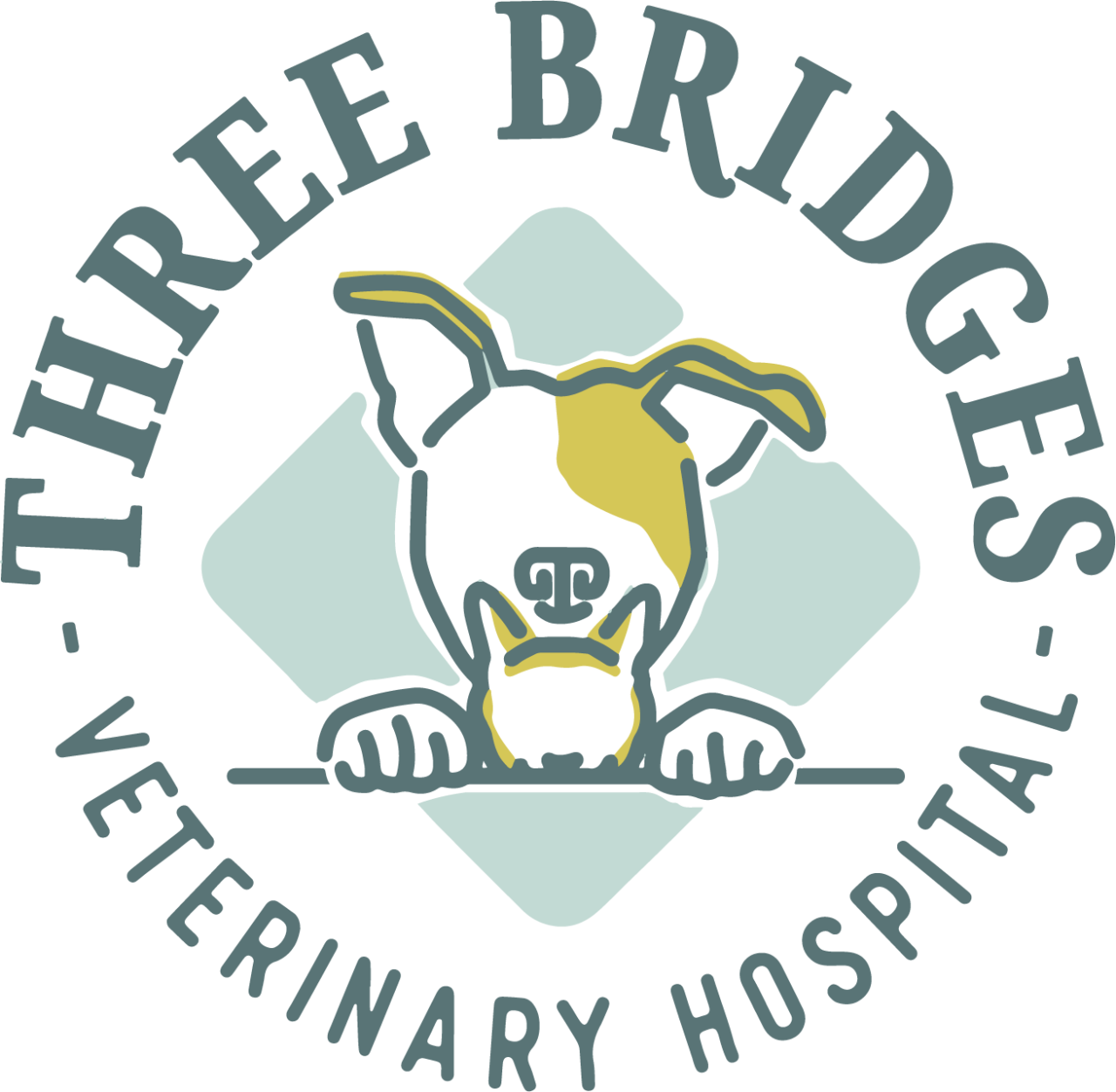 Veterinarian In Basking Ridge, NJ 07920 Three Bridges Veterinary Hospital