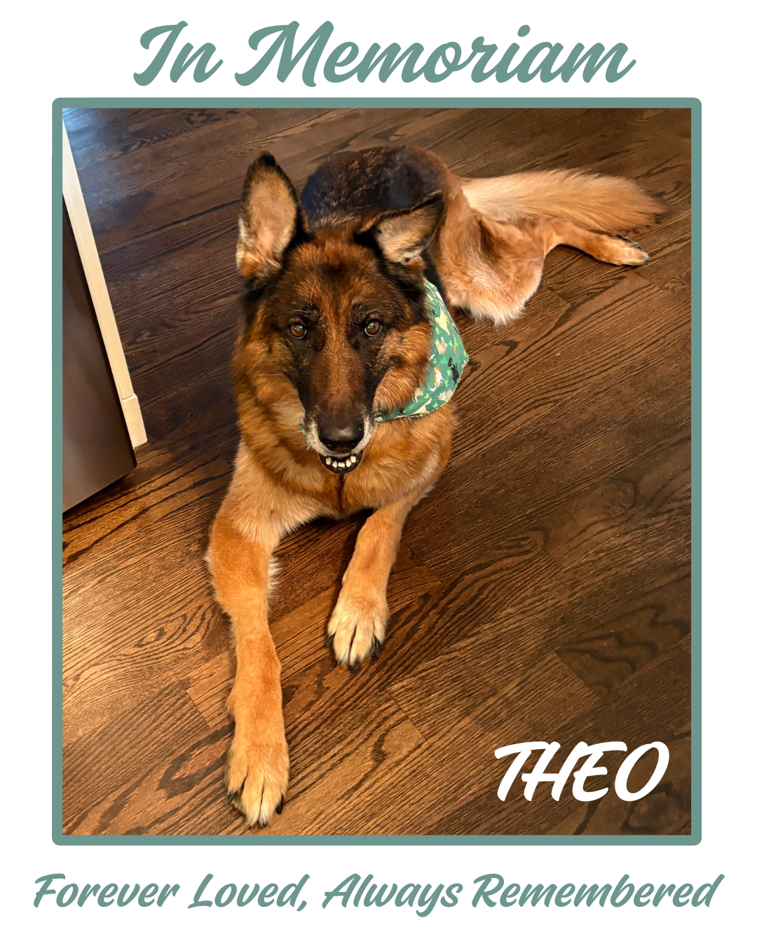 In Memoriam – Theo Peters